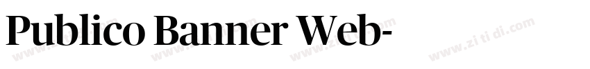 Publico Banner Web字体转换